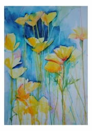 Buttercups