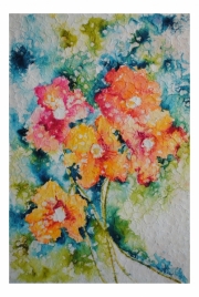 Colour Field