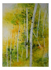 Forest Gold